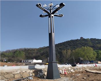 山西省運(yùn)城市高桿景觀(guān)道路路燈項(xiàng)目